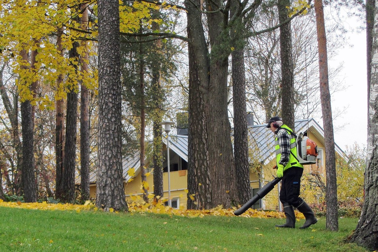 A worker clearing fallen autumn leaves with a leaf blower