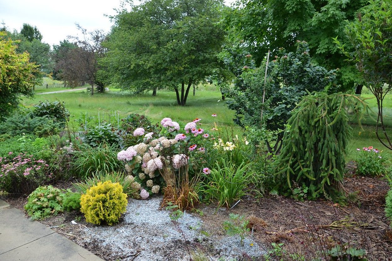 A mixed perennial garden bed beside a gravel path
