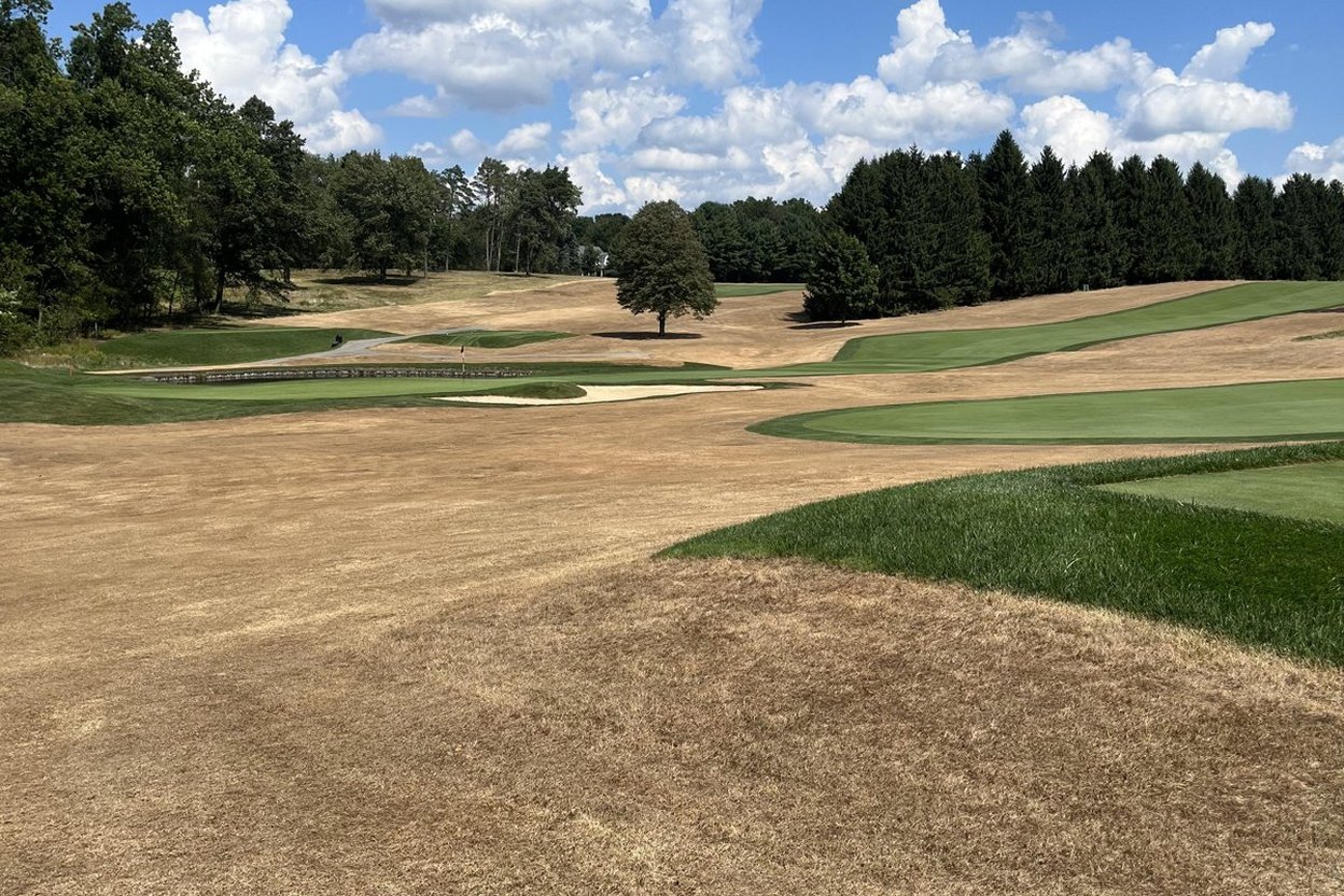 Golf course rough gone brown and dormant in summer heat, with patches of green under a blue sky