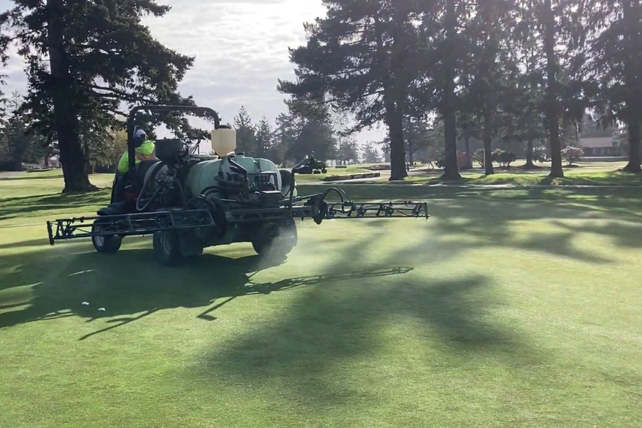 Fungicide on a Home Lawn Is Usually the Wrong Fix