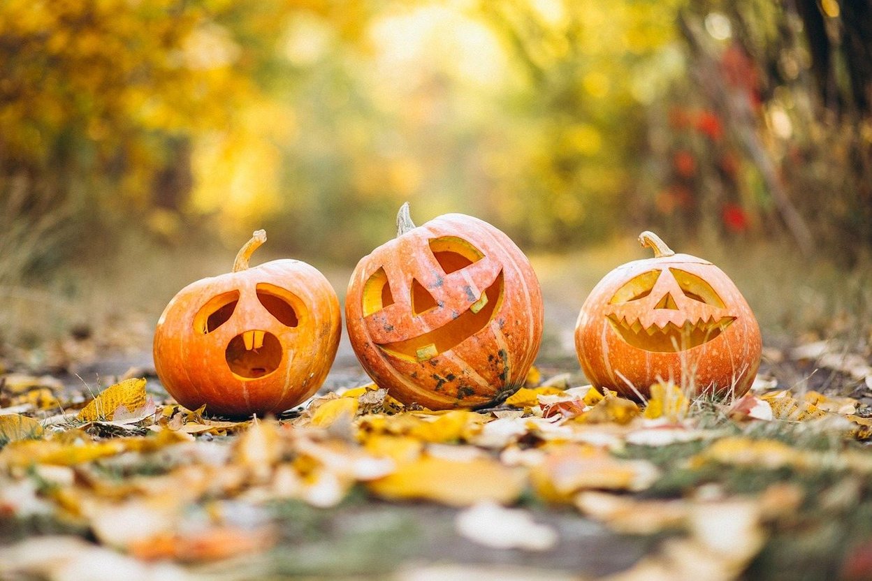 A carved jack-o'-lantern collapsing on a brown, matted patch of lawn after Halloween.