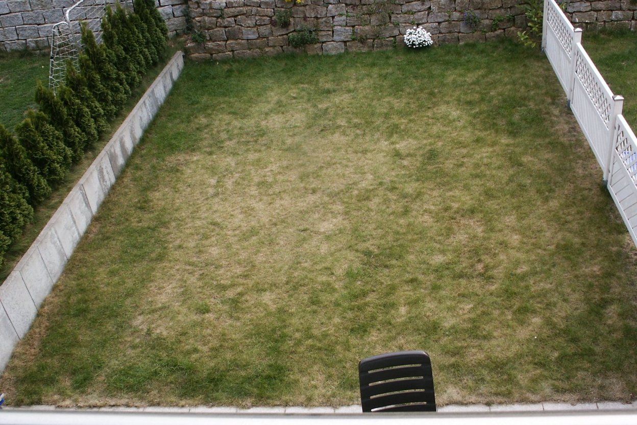 A cross-section plug of lawn showing grass, thatch and soil layers