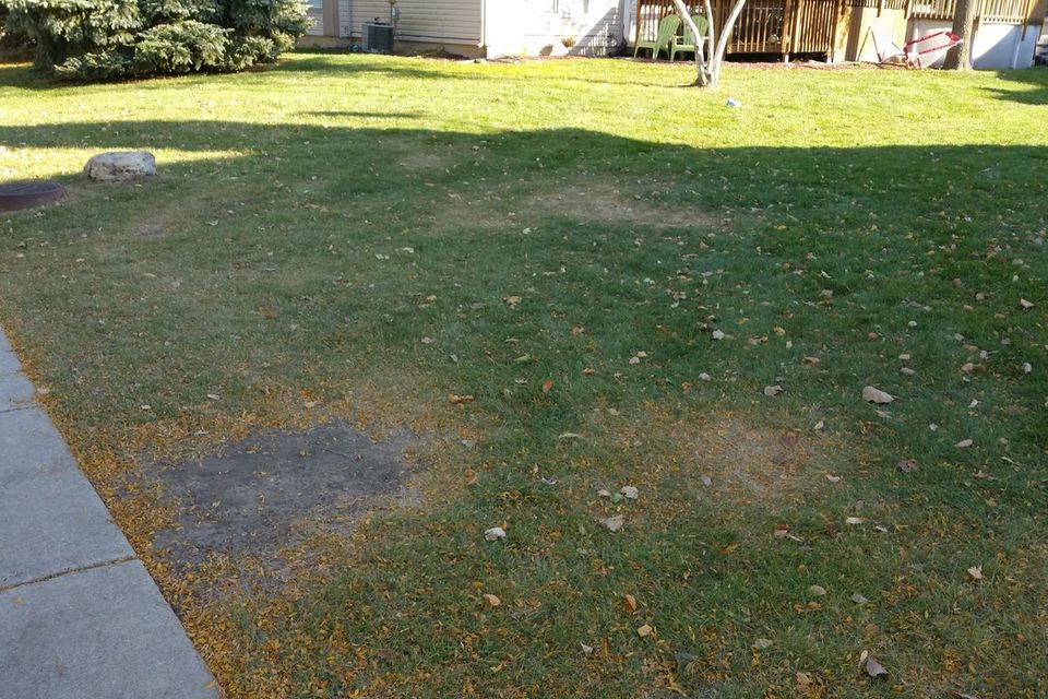 Soil Temperature (photo 3)