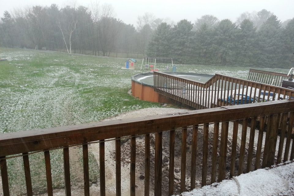 Wet Leaves Under the First Snow Are How Snow Mold Gets Started (photo 3)
